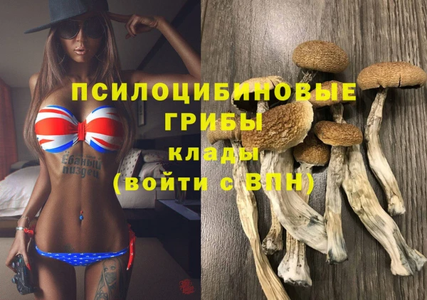 твердый Новокубанск