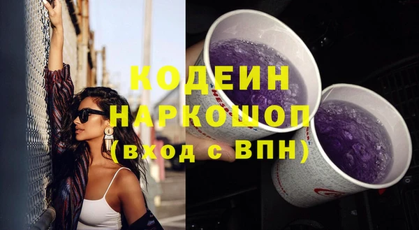 первитин Новодвинск