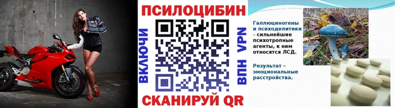 Галлюциногенные грибы прущие грибы Полярный